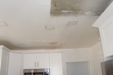 MOLD-DAMAGE-1